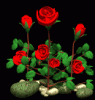 scarlet06